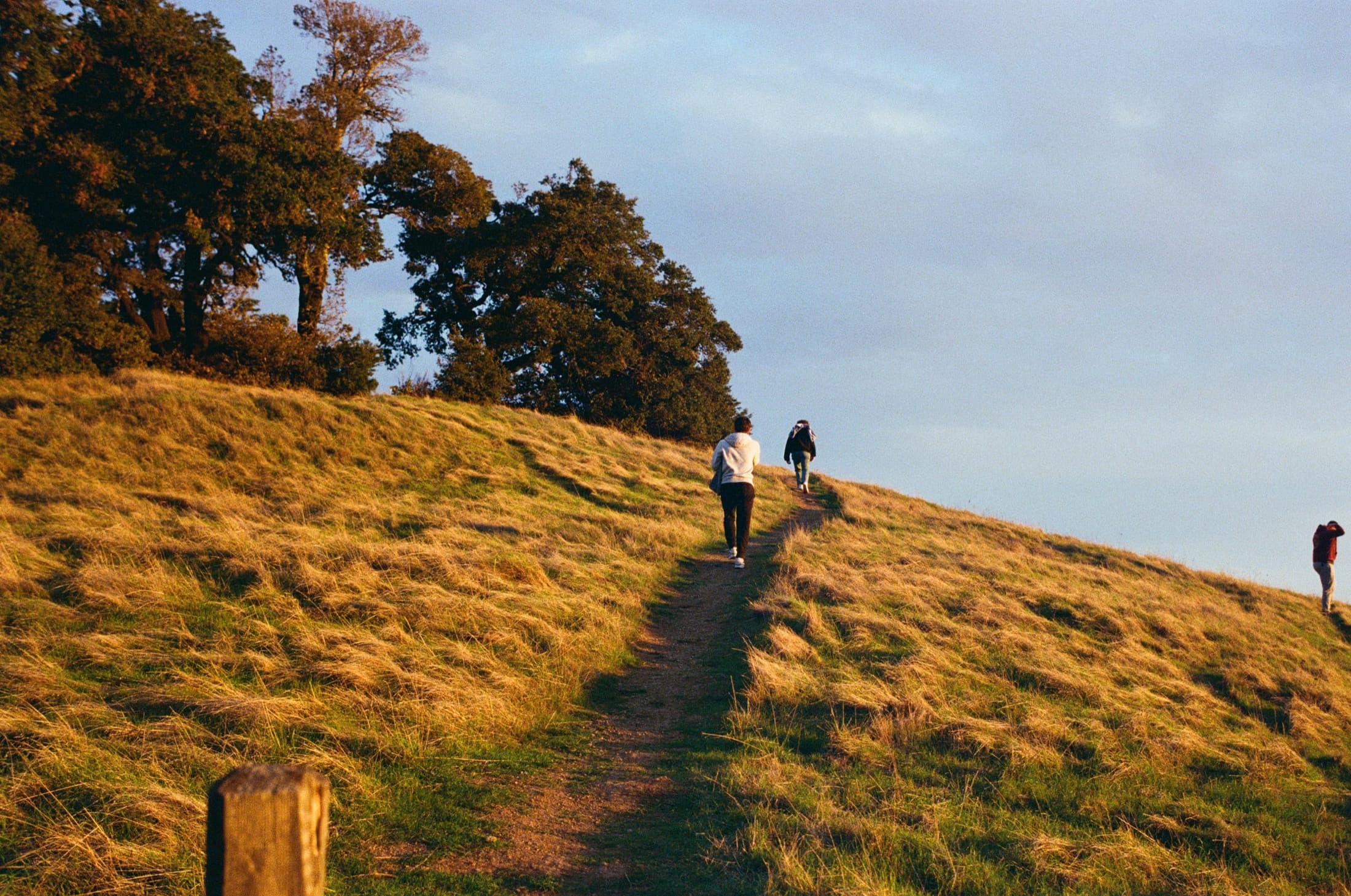 People climbing a sunlit grassy trail on Mount Tamalpais